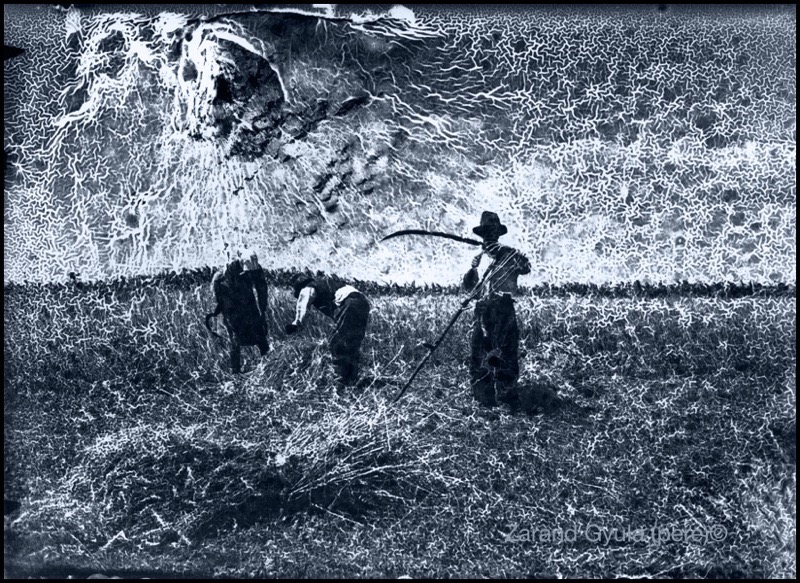 Loading Image