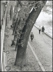 Quais de la Seine, 1983