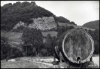 facteur du Jura